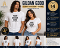ADULT Gildan G300 Light Cotton T-Shirt – Premium Blank Tee