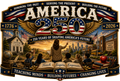 America 250 Teachers Tribute – Teaching Minds, Building Futures, Changing Lives