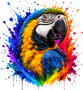 Rainbow Splash Macaw Portrait | Premium Wildlife Youth